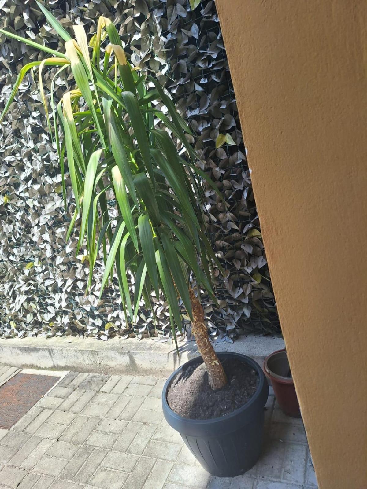 Classy View - Panoramic Sibiu Suite מראה חיצוני תמונה